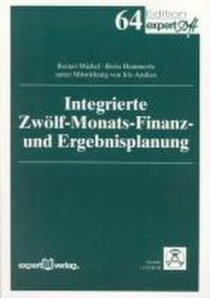 Integrierte Zwölf-Monats-Finanz und Ergebnisplanung de Boris Hammerle