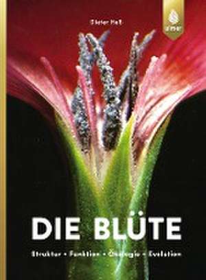 Die Blüte de Dieter Heß