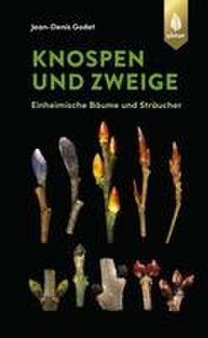 Knospen und Zweige de Jean-Denis Godet