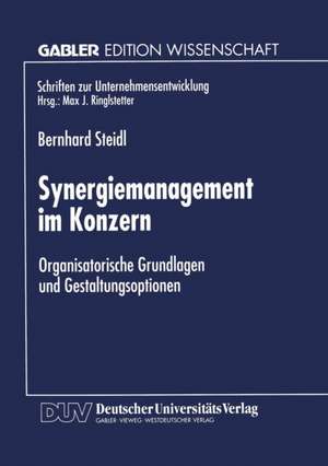 Synergiemanagement im Konzern: Organisatorische Grundlagen und Gestaltungsoptionen de Bernhard Steidl