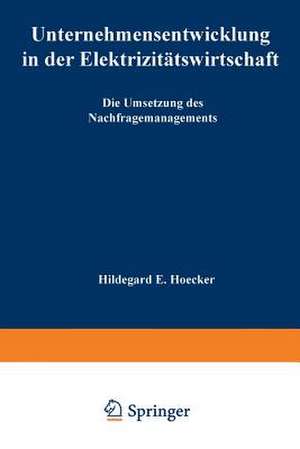 Unternehmensentwicklung in der Elektrizitätswirtschaft: Die Umsetzung des Nachfragemanagements de Hildegard E Hoecker