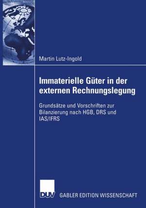 Immaterielle Güter in der externen Rechnungslegung: Grundsätze und Vorschriften zur Bilanzierung nach HGB, DRS und IAS/IFRS de Martin Lutz-Ingold