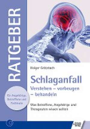 Schlaganfall de Holger Grötzbach