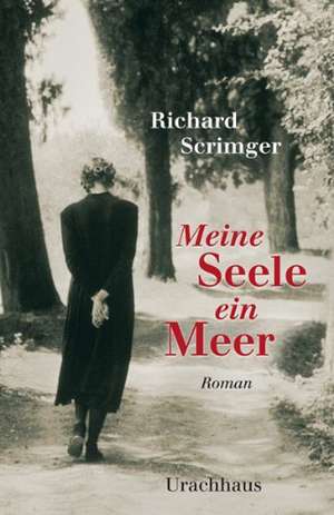 Meine Seele ein Meer de Richard Scrimger