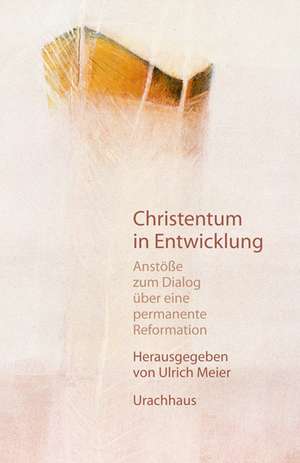 Christentum in Entwicklung de Ulrich Meier