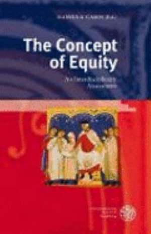 The Concept of Equity de Daniela Carpi