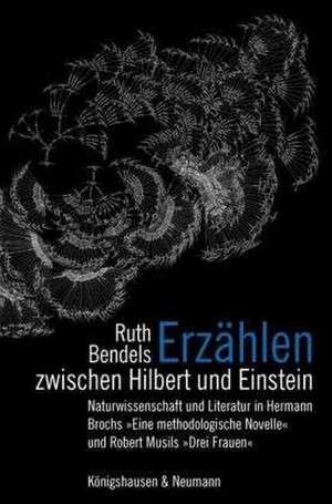 Erzählen zwischen Hilbert und Einstein de Ruth Bendels