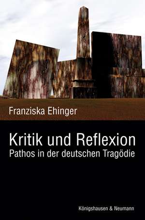 Kritik und Reflexion de Franziska Ehinger