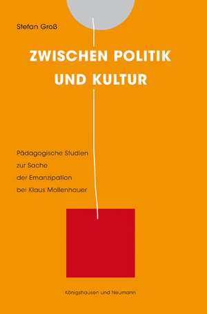 Zwischen Politik und Kultur de Stefan Gross