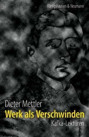 Werk als Verschwinden de Dieter Mettler