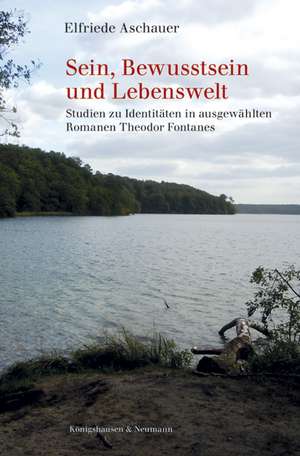 Sein, Bewusstsein und Lebenswelt de Elfriede Aschauer