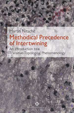 Methodical Precedence of Intertwining de Martin Nitsche