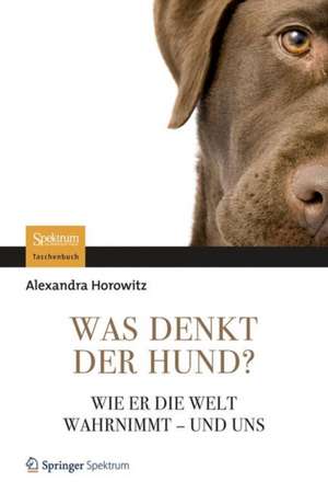 Was denkt der Hund?: Wie er die Welt wahrnimmt - und uns de Alexandra Horowitz