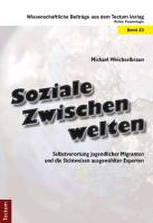 Soziale Zwischenwelten de Michael Weichselbraun