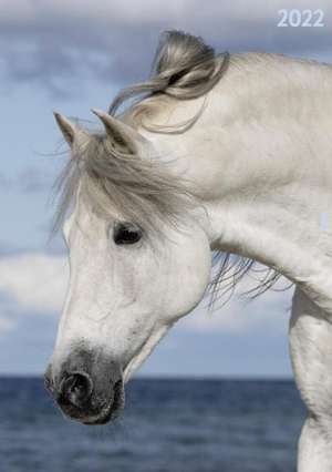 Terminplaner Pferd 2022