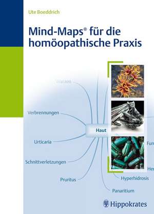 Mind-Maps für die homöopathische Praxis de Ute Boeddrich