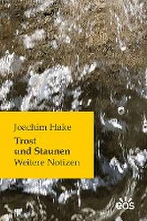 Trost und Staunen de Joachim Hake