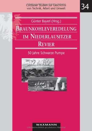 Braunkohleveredelung im Niederlausitzer Revier de Günter Bayerl