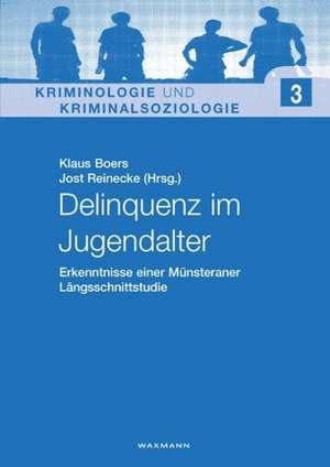 Delinquenz im Jugendalter de Klaus Boers