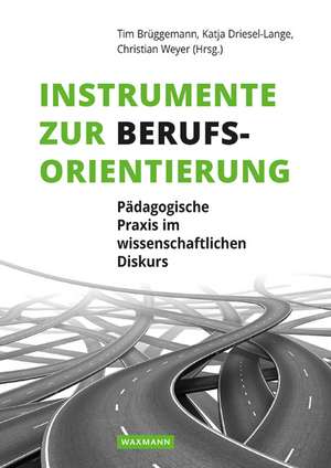 Instrumente zur Berufsorientierung de Tim Brüggemann