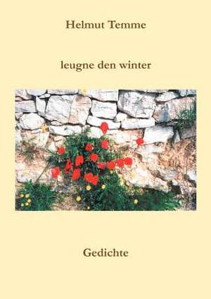 Leugne den Winter de Helmut Temme