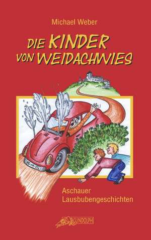 Die Kinder von Weidachwies de Michael Weber