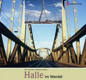 Halle im Wandel de Werner Richey