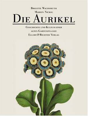 Die Aurikel de Marion Nickig