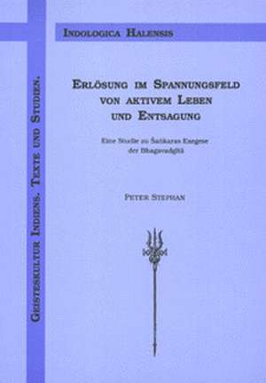 Erlösung im Spannungsfeld von Entsagung und aktivem Leben de Peter Stephan