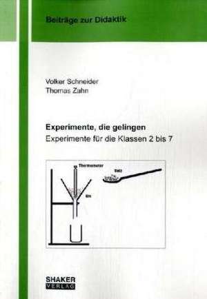 Experimente, die gelingen de Volker Schneider