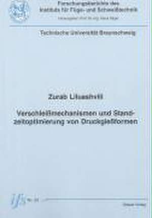 Verschleißmechanismen und Standzeitoptimierung von Druckgießformen de Zurab Liluashvili