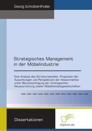 Strategisches Management in Der M Belindustrie: The Sea de Georg Schratzenthaller