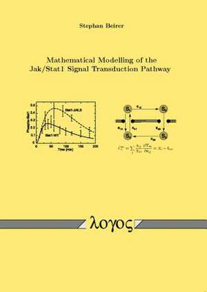 Mathematical Modelling of the Jak /Stat1 Signal Transduction Pathway