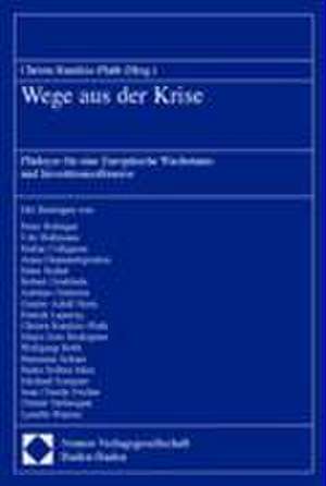 Wege Aus Der Krise: Pladoyer Fur Eine Europaische Wachstums- Und Investitionsoffensive de Christa Randzio-Plath