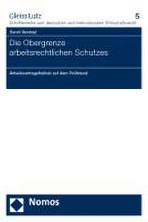 Die Obergrenze Arbeitsrechtlichen Schutzes: Arbeitsvertragsfreiheit Auf Dem Prufstand