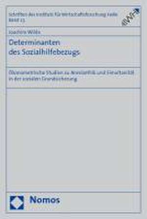 Determinanten Des Sozialhilfebezugs: Okonometrische Studien Zu Anreizethik Und Simultanitat in Der Sozialen Grundsicherung