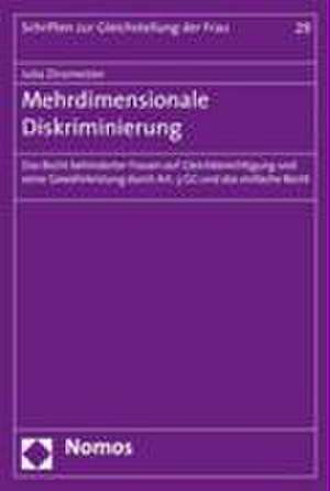 Mehrdimensionale Diskriminierung de Julia Zinsmeister