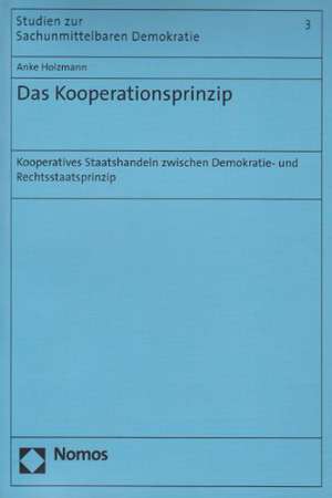 Das Kooperationsprinzip de Anke Holzmann