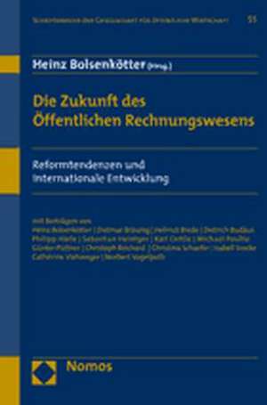 Die Zukunft des Öffentlichen Rechnungswesens de Heinz Bolsenkötter