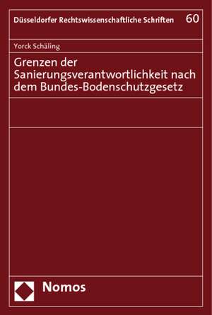 Grenzen Der Sanierungsverantwortlichkeit Nach Dem Bundes-Bodenschutzgesetz: Transnational Women's Movements' Politics Today de Yorck Schäling