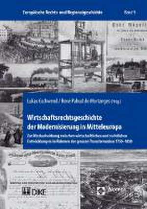 Wirtschaftsrechtsgeschichte Der Modernisierung in Mitteleuropa: Zur Wechselwirkung Zwischen Wirtschaftlichen Und Rechtlichen Entwicklungen Im Rahmen D de Lukas Gschwend