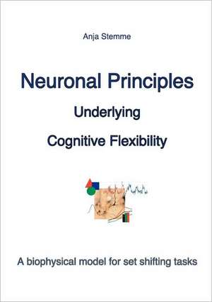 Neuronal principles underlying cognitive flexibility de Anja Stemme