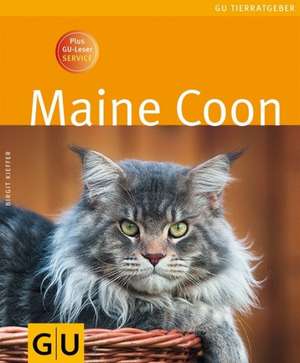 Maine Coon de Birgit Kieffer