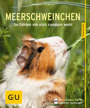 Meerschweinchen de Immanuel Birmelin