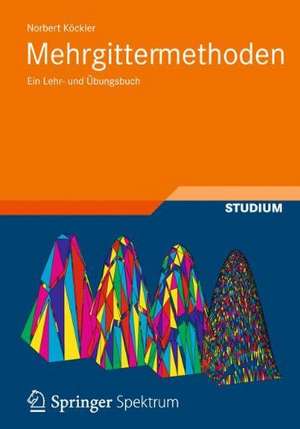 Mehrgittermethoden: Ein Lehr- und Übungsbuch de Norbert Köckler