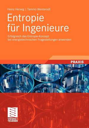 Entropie für Ingenieure: Erfolgreich das Entropie-Konzept bei energietechnischen Fragestellungen anwenden de Heinz Herwig