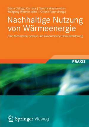 Nachhaltige Nutzung von Wärmeenergie: Eine technische, soziale und ökonomische Herausforderung de Marius Buchmann