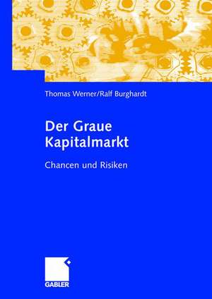 Der Graue Kapitalmarkt: Chancen und Risiken de Thomas Werner