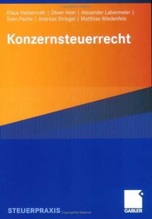 Konzernsteuerrecht de Klaus Herkenroth