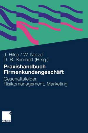 Praxishandbuch Firmenkundengeschäft: Geschäftsfelder, Risikomanagement, Marketing de Jürgen Hilse